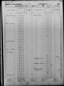 1860 Federal Slave Schedule - Emanuel County, Georgia