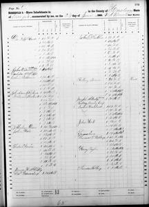 1860 Federal Slave Schedule - Haralson County, Georgia