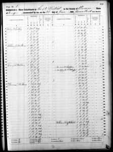 1860 Federal Slave Schedule - Irwin County, Georgia