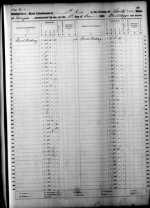 1860 Federal Slave Schedule - Liberty County, Georgia