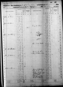1860 Federal Slave Schedule - Macon County, Georgia