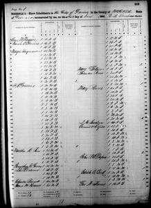 1860 Federal Slave Schedule - McIntosh County, Georgia