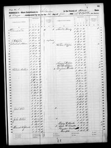 1860 Federal Slave Schedule - Tattnall County, Georgia