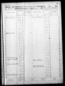 1860 Federal Slave Schedule - Taylor County, Georgia