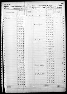 1860 Federal Slave Schedule - Troup County, Georgia