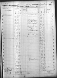 1860 Federal Slave Schedule - Webster County, Georgia