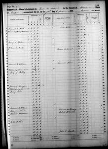 1860 Federal Slave Schedule - Marion County, Florida