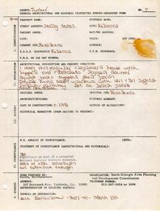 Georgia Architectural and Historic Properties Survey of Holly Street, Rebecca, Turner County, Ga., March 1981