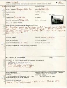 Georgia Architectural and Historic Properties Survey of Magnolia St., Rebecca, Turner County, Ga., March 1981