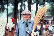 Wiregrass Broom