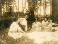 A Picnic Under the Pines.