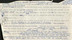 Story about Lola (Draft 13)
