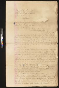 Decree of Court for Estate, Glynn County, 1884