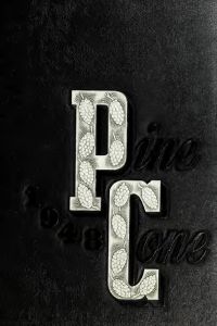 Pinecone 1948