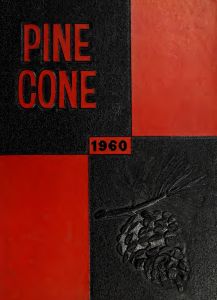 Pinecone 1960
