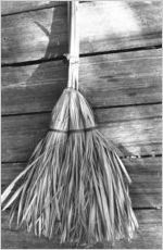 Palmetto Brooms