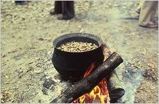 Folklorist Dennis Coelho Photographs, 1977