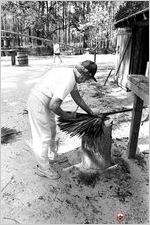 Chesser family members making palmetto broom at Chesser Homestead