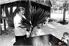 Bernice Chesser Roddenberry  chops the ends off a palmetto broom from PHO-BW-1997