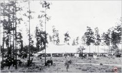 Postcard of Royal Singing Convention