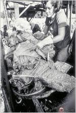 Becky Akins packs tobacco on a stick during family tobacco harvest