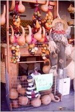 Gourd display and fresh greens at the State Farmers Market