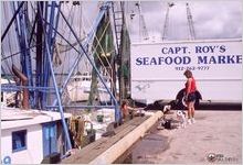 Shrimp boats at dock