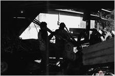 Adding stalks of raw cane to mill