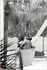 VSC Maintenance Crew, August 1982