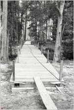 North Campus Footbridge, c.1983