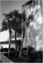 VSC, April 1982