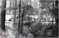 North Campus Footbridge, c.1983
