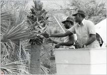 VSC Maintenance Crew, August 1982