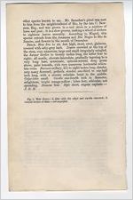 Description for Clavija Macrophylla Illustration