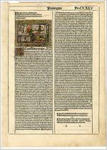 Leaf from from Latin Vulgate Bible