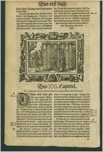 Virgil Solis Folio Leaves