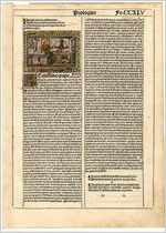 Leaf from from Latin Vulgate Bible