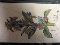 Botanical Flower