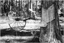 Farm Wagon