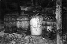 Turpentine