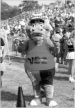 VSC's Mascot Arrives at Last