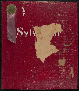 Mr. Centennial Takes a Look at The Sylvester Report of Progress