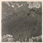 Aerial photograph of Brantley County, Georgia, 1953