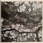 Aerial photograph of Brantley County, Georgia, 1983