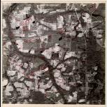 Aerial photograph of Brantley County, Georgia, 1983
