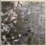 Aerial photograph of Brantley County, Georgia, 1983