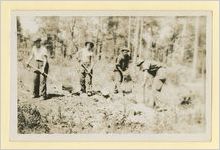 Photograph of working crew, Ludowici, Georgia