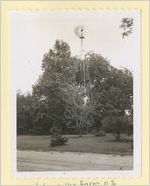 Photograph of windmill, Ludowici, Georgia