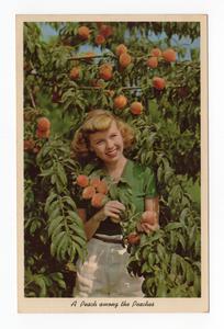 A Peach Among the Peaches