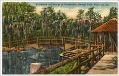 Boardwalk and Bridge at Okefenokee Swamp Park, Waycross, Ga. (ca. 1955)